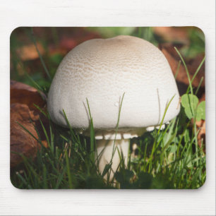 Field mushroom in a forest mouse mat