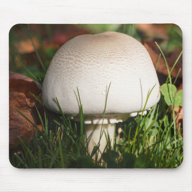 Field mushroom in a forest mouse mat (Front)