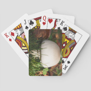 Field mushroom in a forest playing cards