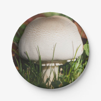 Field mushroom paper plate