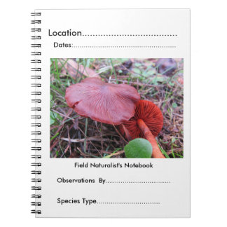 Field naturalist's Notebook by FungiOz