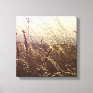 Field Nature Canvas Print