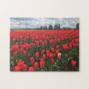 Field of Ballerina Tulips, Oregon Jigsaw Puzzle