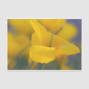 Field of blooming poppies tissue paper