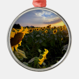 Field of Blooming Sunflowers Metal Tree Decoration
