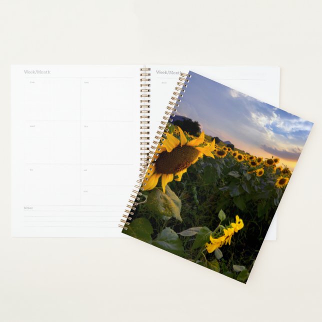Field of Blooming Sunflowers Planner (Display)
