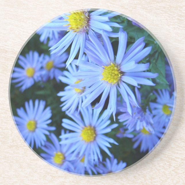 Field of Blue Flowers Coaster (Front)