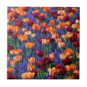 Field of Blue, Orange and Red Flowers Tile