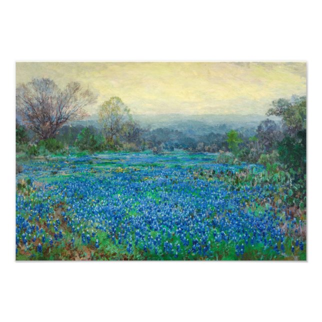 Field of Bluebonnets, 1918-1920 by Julian Onderdon Photo Print (Front)