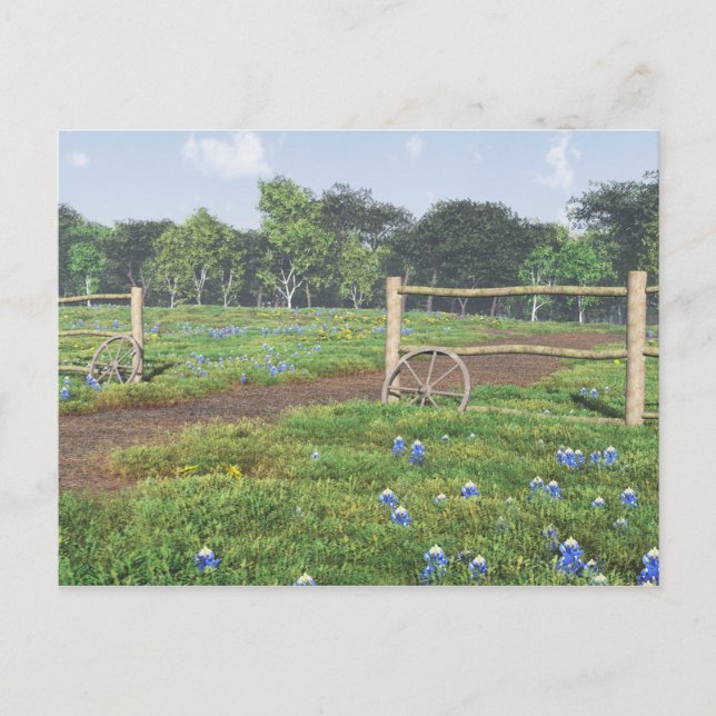 Field of Bluebonnets Postcard (Front)