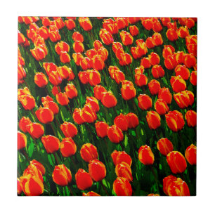 Field of Bright Orange Tulips - Watercolor Art Tile