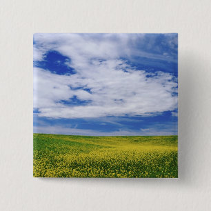 Field of Canola or Mustard flowers, Palouse 15 Cm Square Badge