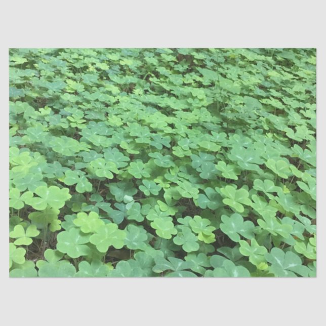 field of clover tissue paper (Front)