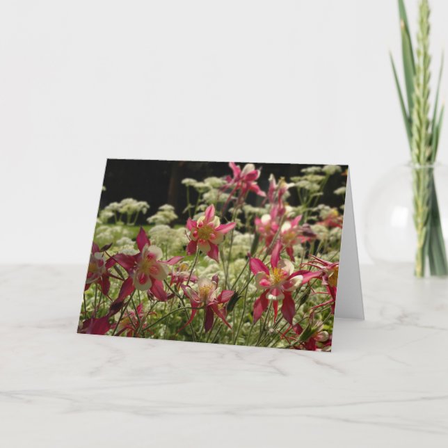 Field of Columbines Card (Front)