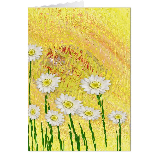 Field Of Daises (Front)