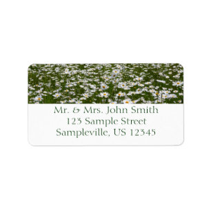 Field of Daisies Alaskan Wildflowers Label