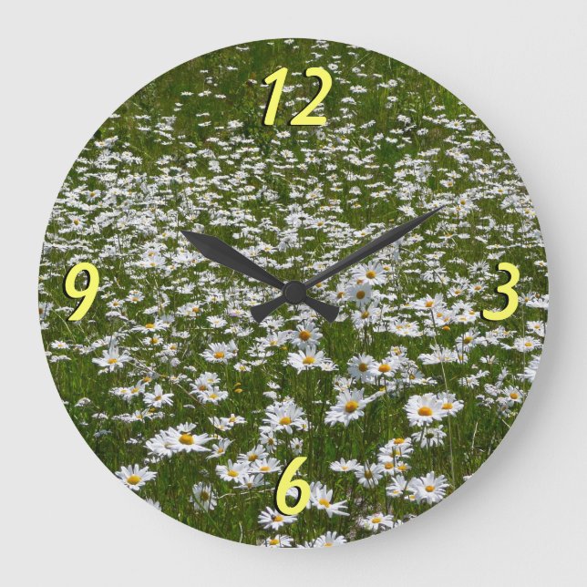 Field of Daisies Alaskan Wildflowers Large Clock (Front)