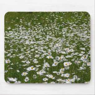 Field of Daisies Alaskan Wildflowers Mouse Mat