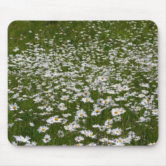 Field of Daisies Alaskan Wildflowers Mouse Mat (Front)