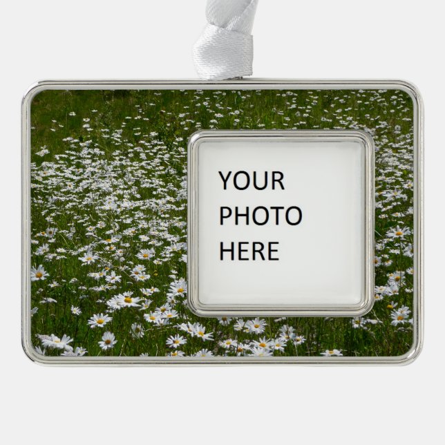 Field of Daisies Alaskan Wildflowers Silver Plated Framed Ornament (Front)