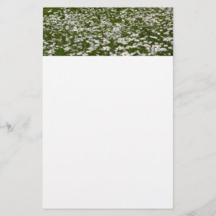 Field of Daisies Alaskan Wildflowers Stationery