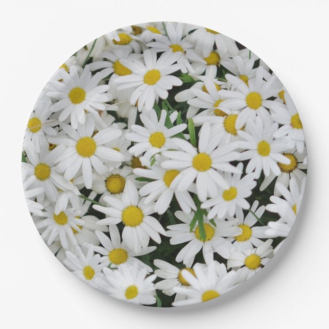 Field of Daisies Paper Plate (Front)
