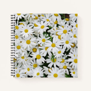 Field of Daisies Photo Notebook