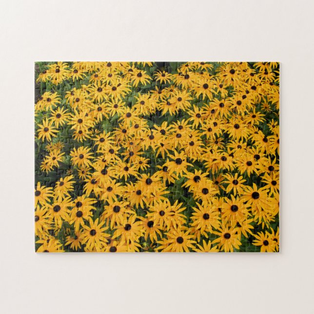 Field of Daisies Puzzle (Horizontal)