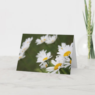 Field of Daisies - Thinking of You Card