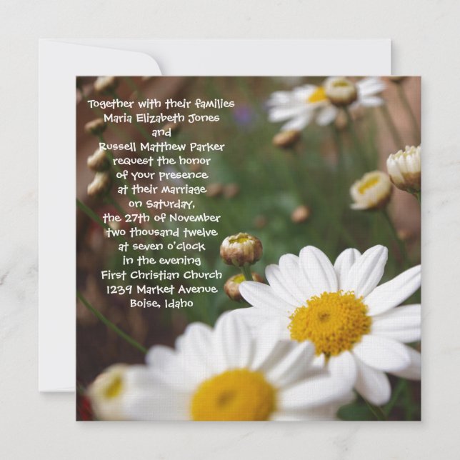 Field of Daisies Wedding Invitations (Front)