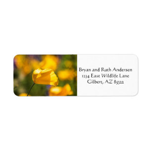 Field of dancing poppies