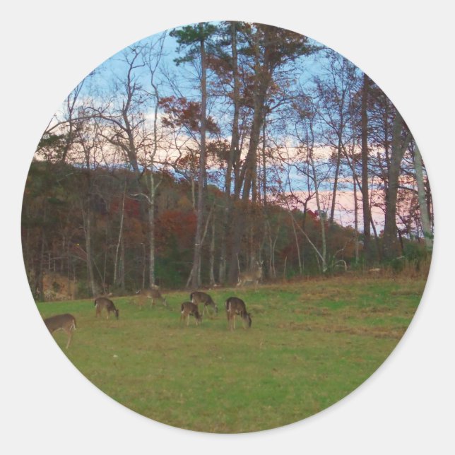 Field of Deer & a Pink SunSet Classic Round Sticker (Front)
