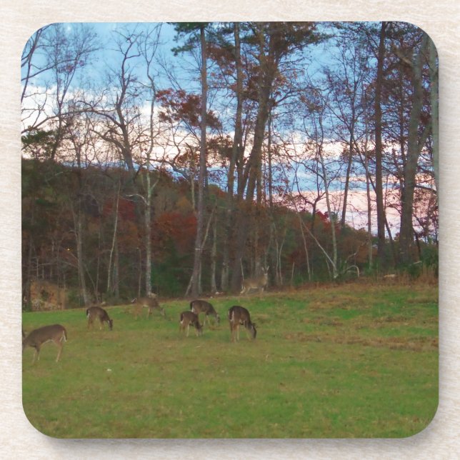 Field of Deer & a Pink SunSet Coaster (Front)