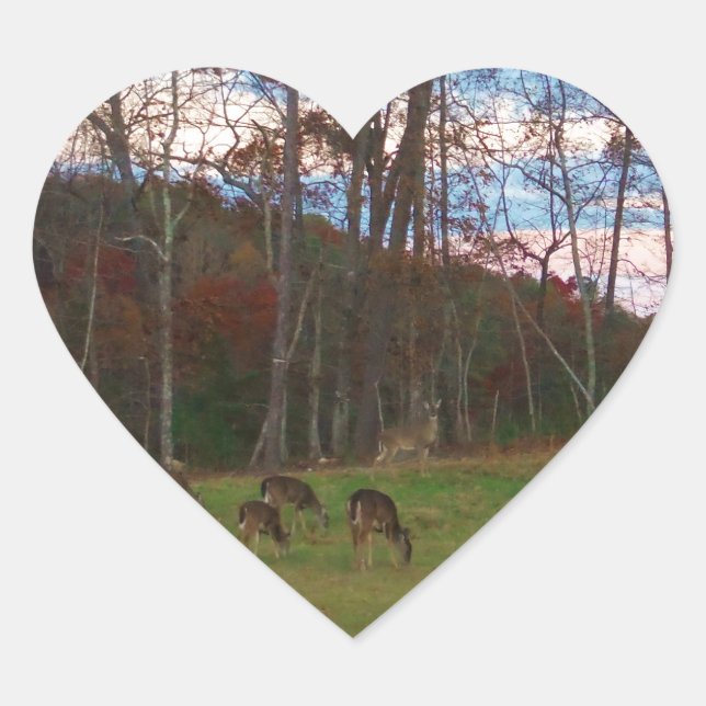 Field of Deer & a Pink SunSet Heart Sticker (Front)