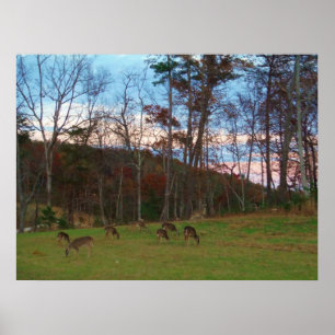 Field of Deer & a Pink SunSet Poster