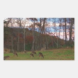 Field of Deer & a Pink SunSet Rectangular Sticker