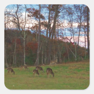 Field of Deer & a Pink SunSet Square Sticker