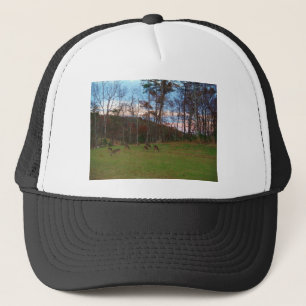 Field of Deer & a Pink SunSet Trucker Hat