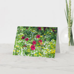 Field of Dreams Card