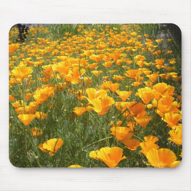 Field of Dreams Mouse Mat (Front)