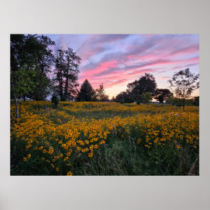 Field of Dreams Poster