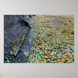 Field of Dreams Poster