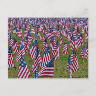 Field of Flags - Memorial American Flags Postcard