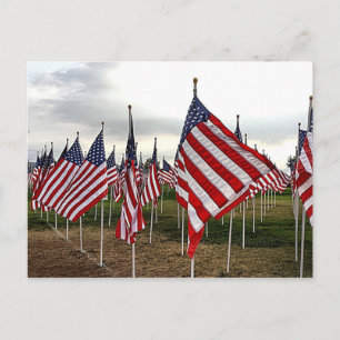 Field of Flags - Patriotic American Flags Postcard
