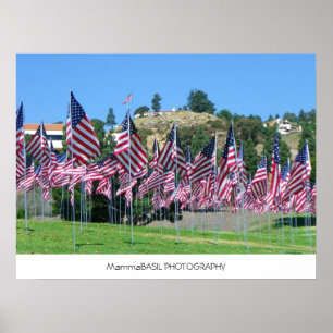 Field Of Flags Poster! Poster