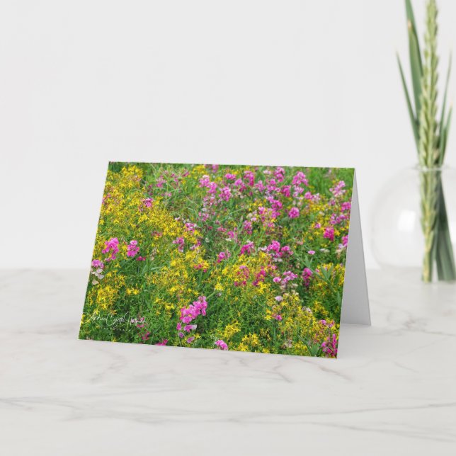 Field of Flower Wishes Card (Front)