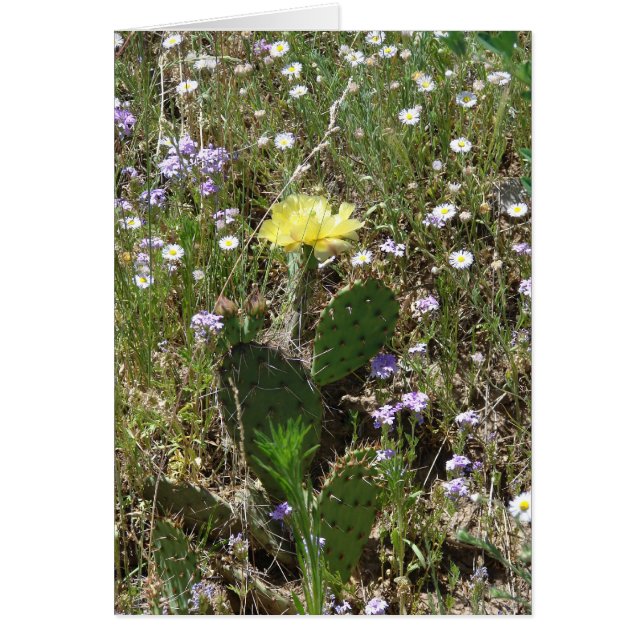 Field of Flowers (Front)