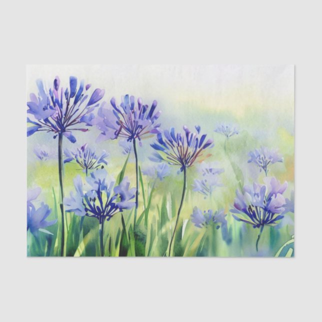 Field of Flowers-Agapanthus, (D) Watercolor  Tissue Paper (Front)