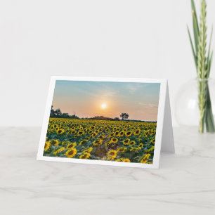 "Field of Flowers" blank folded greeting card