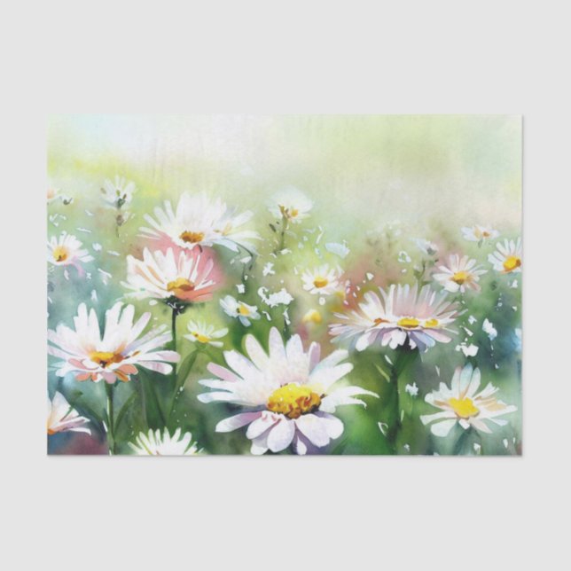 Field of Flowers-Daisy (A) Watercolor  Tissue Paper (Front)